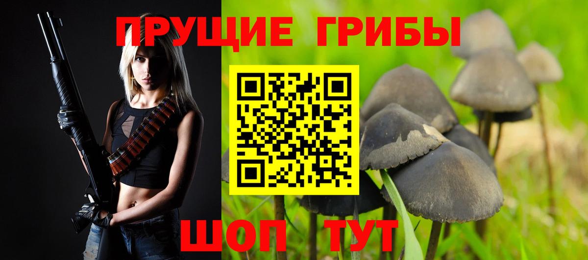 Галлюциногенные грибы Psilocybine cubensis Чехов